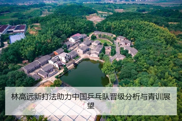 林高远新打法助力中国乒乓队晋级分析与青训展望